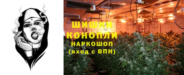 крисы Арсеньев