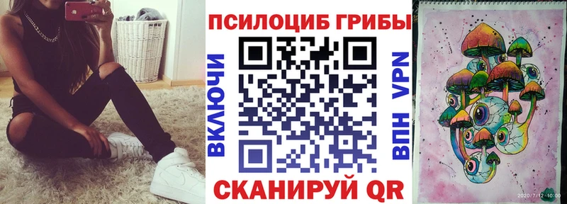 Псилоцибиновые грибы Psilocybe  Купить  Электроугли 